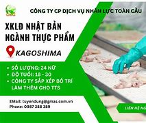 Các Ngành Xklđ Nhật Cho Nữ Ở Mỹ Năm 2024