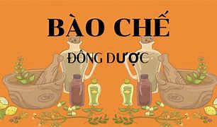 Học Bào Chế Thuốc Đông Y