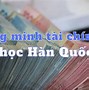 Trải Nghiệm Du Học Hè Hàn Quốc Tại Tphcm Năm 2024