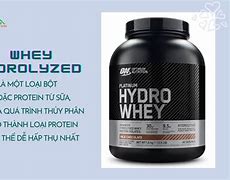 Whey Hydrolysate Là Gì