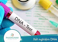 Xét Nghiệm Dna